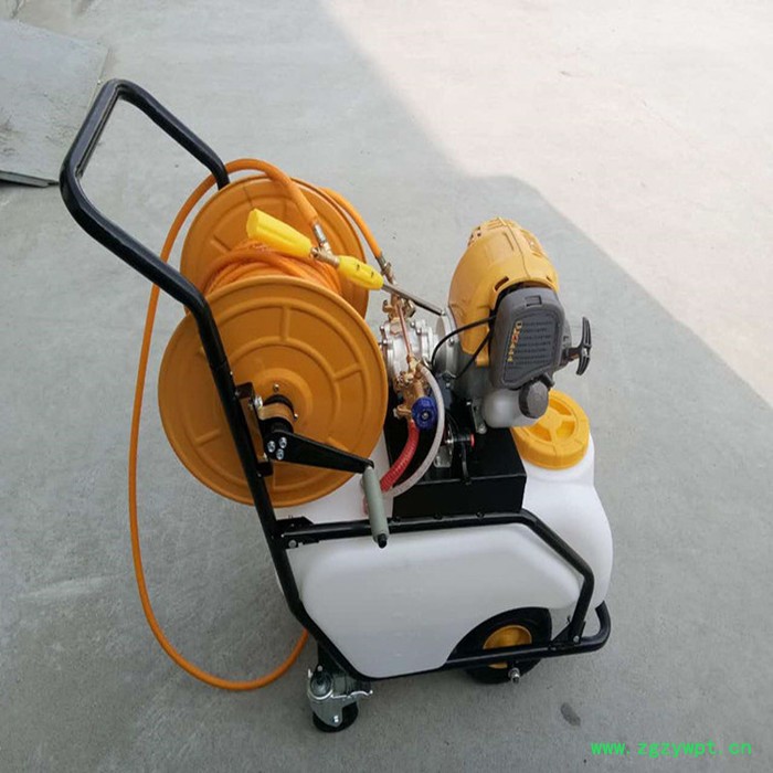 葡萄园灭虫打药机 多功能农药机械喷洒机 手推式带轮杀毒灭菌设备图7