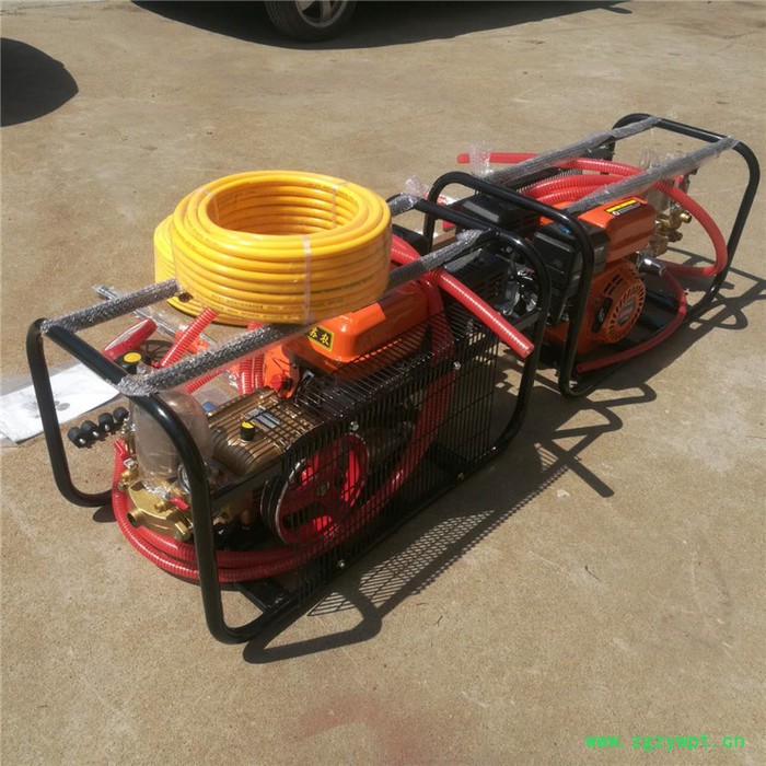 葡萄园灭虫打药机 多功能农药机械喷洒机 手推式带轮杀毒灭菌设备图8