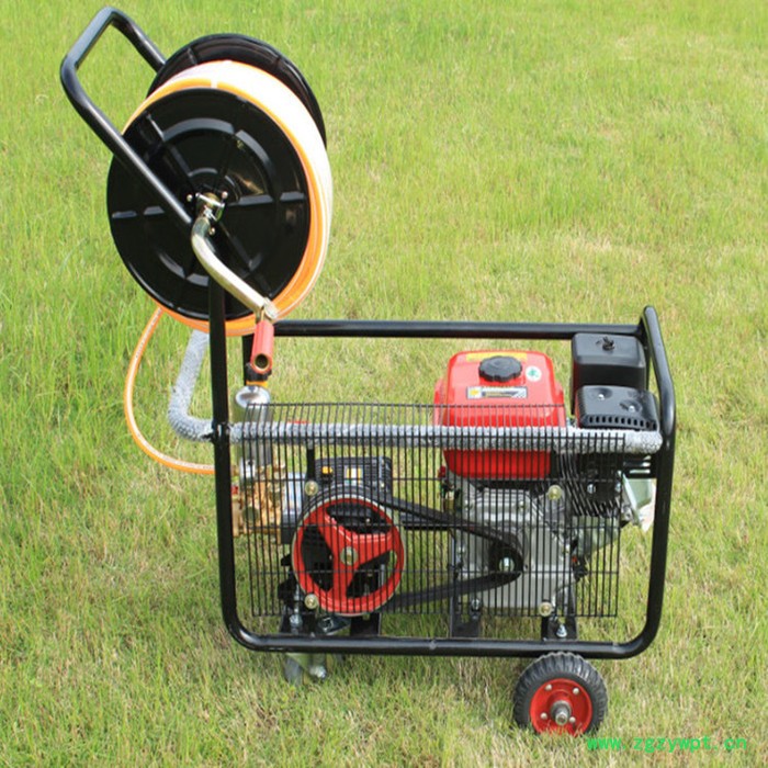 葡萄园灭虫打药机 多功能农药机械喷洒机 手推式带轮杀毒灭菌设备图4