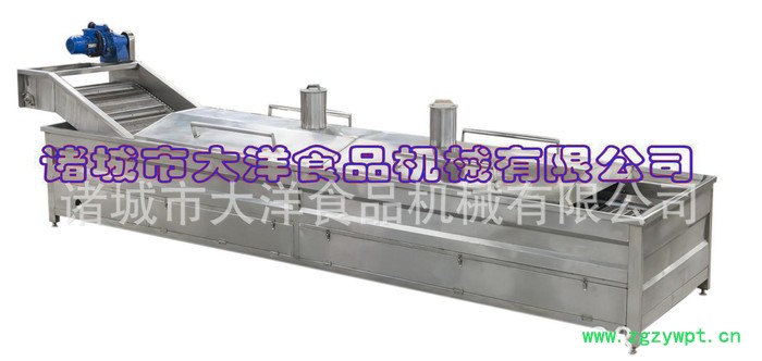 大洋链式巴氏灭菌设备|大产量巴氏杀菌线图2