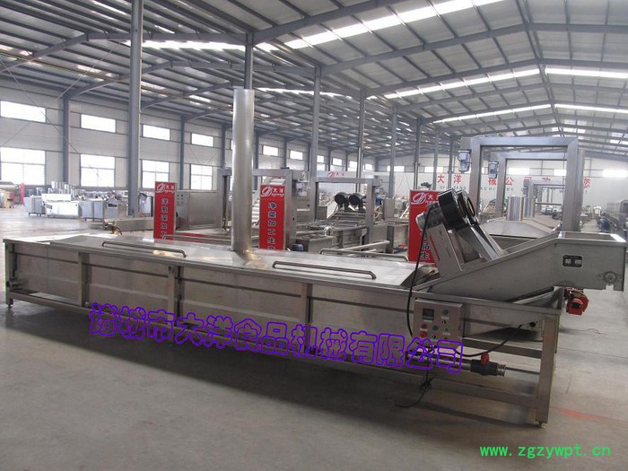 大洋链式巴氏灭菌设备|大产量巴氏杀菌线图7