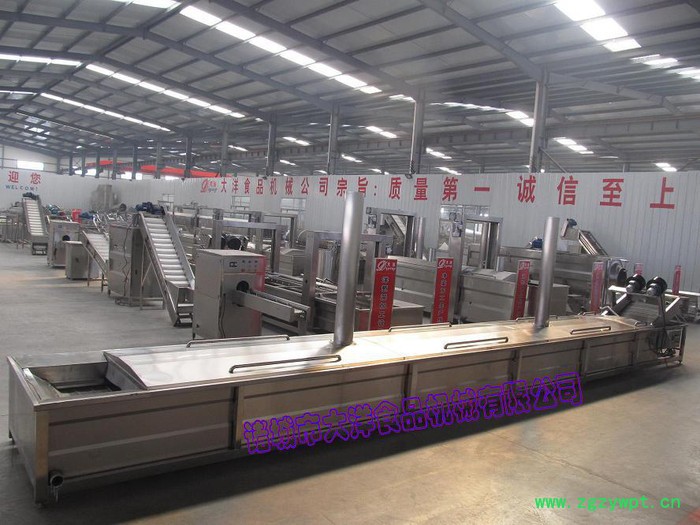 大洋链式巴氏灭菌设备|大产量巴氏杀菌线