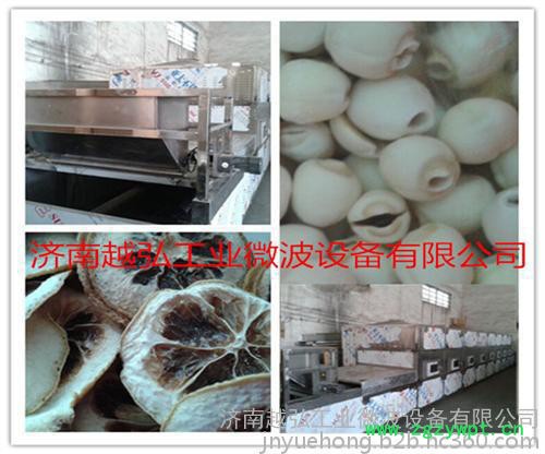 YH-60KW小麦胚芽微波烘干杀菌机    YH-50KW燕麦片微波烘干灭菌设备 微波烘干设备图4