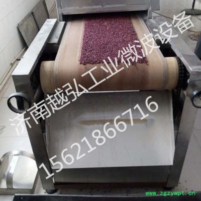 定制农副产品微波干燥灭菌设备 微波干燥设备