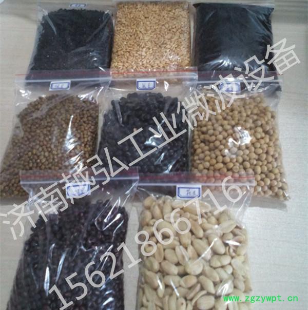 定制农副产品微波干燥灭菌设备 微波干燥设备图2