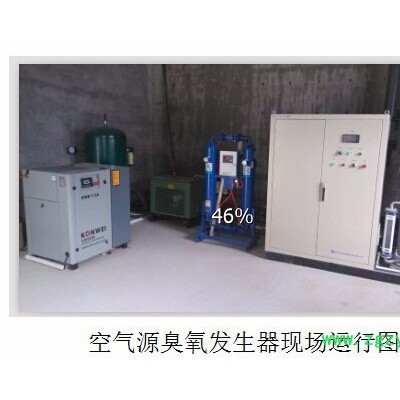 天蓝臭氧厂家生产 有机废气  臭氧发生设备，泳池水臭氧设备，水处理灭菌设备，TS-100A，  负责指导安装