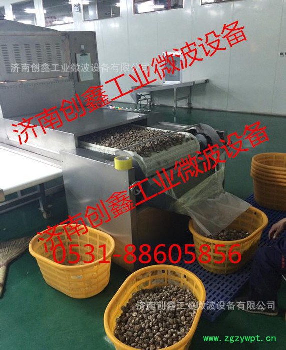 菌类微波干燥机 微波灭菌设备 微波杀菌机图2