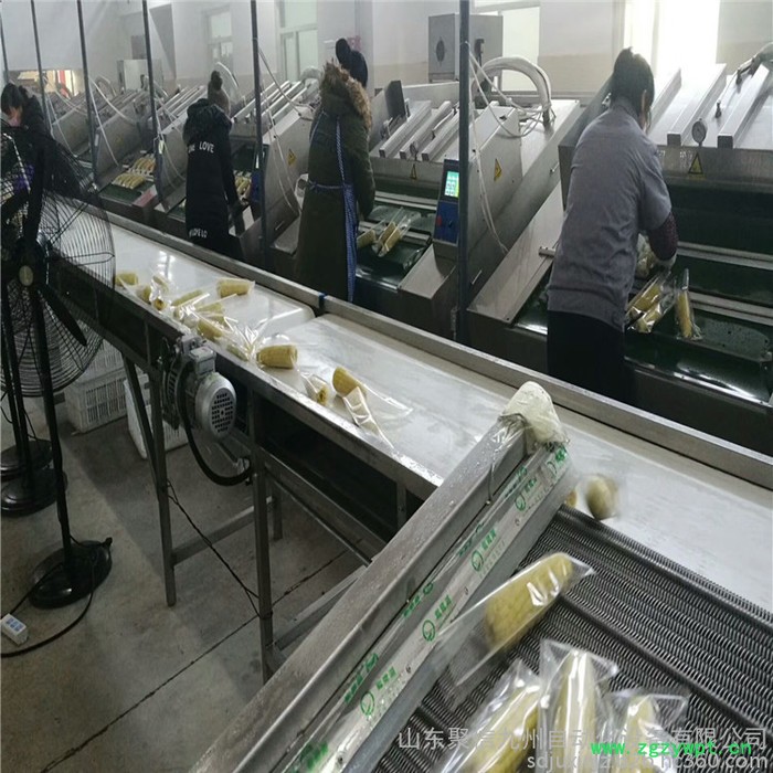 聚信九州糯玉米杀菌锅 粘玉米蒸煮锅 玉米灭菌设备 袋装玉米杀菌设备图4