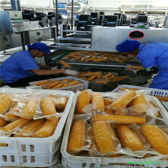聚信九州糯玉米杀菌锅 粘玉米蒸煮锅 玉米灭菌设备 袋装玉米杀菌设备图5