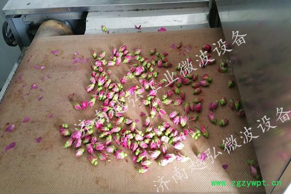 YH-30KW济南越弘微波百合干燥设备 微波干燥杀菌机 微波烘干灭菌设备图3