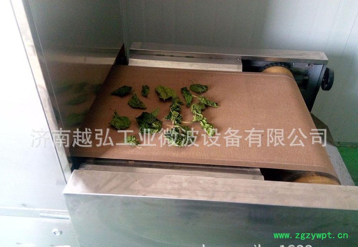 药材药制品微波干燥灭菌设备 微波干燥设备图3