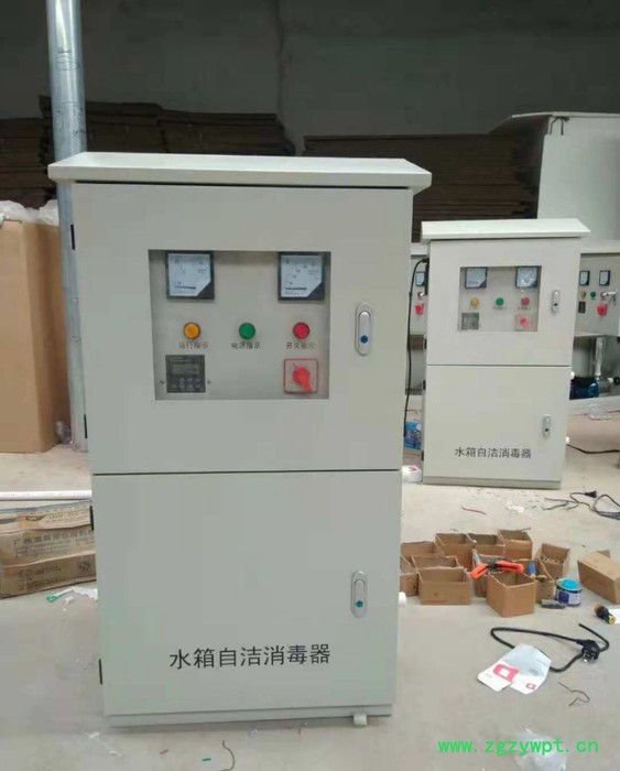 北京丰台智冠定制除澡灭菌设备 ，碳钢喷塑材质机箱水箱自洁消毒器~WTS-2A，