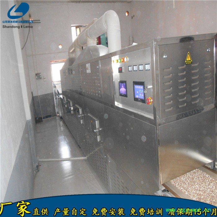 五谷杂粮熟化杀菌设备 山东磊沐谷物早餐烘焙灭菌设备 豆子烤熟机图6