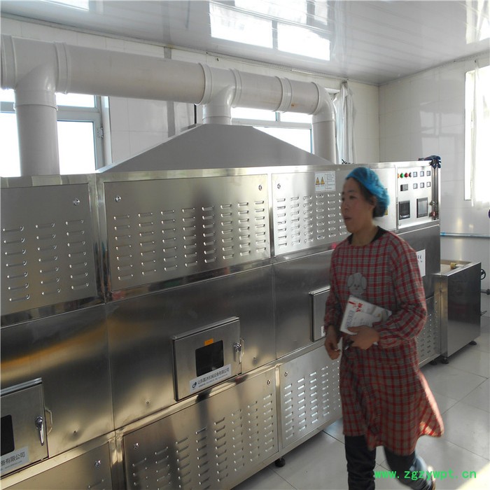 五谷杂粮熟化杀菌设备 山东磊沐谷物早餐烘焙灭菌设备 豆子烤熟机图7