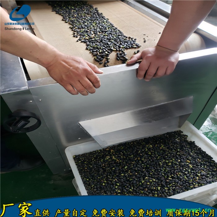 五谷杂粮熟化杀菌设备 山东磊沐谷物早餐烘焙灭菌设备 豆子烤熟机图2