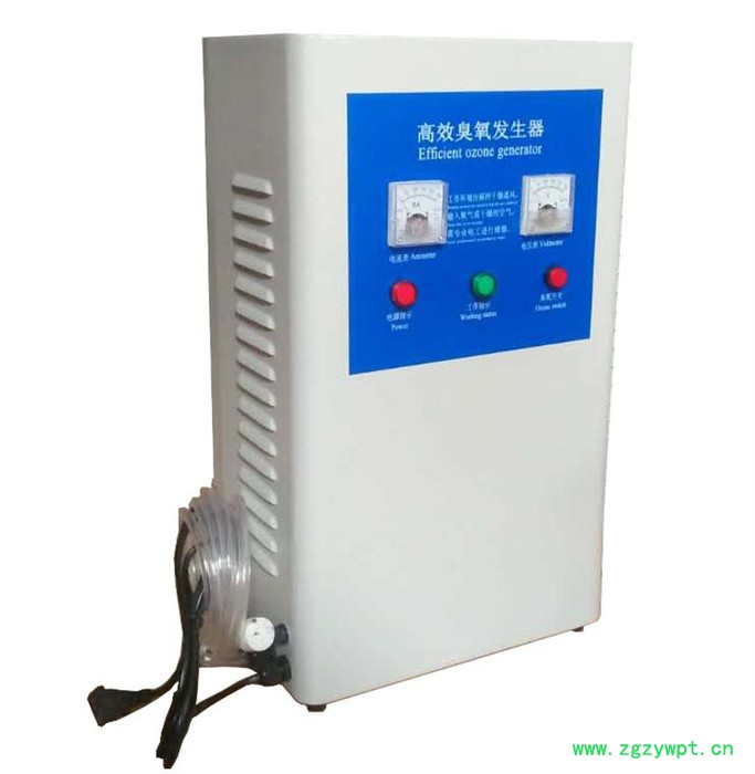 生产厂家  高效臭氧发生器 食品灭菌设备 空间消毒设备 环境消毒设备 净化空气 臭氧发生器厂家生活用水消毒灭菌图5