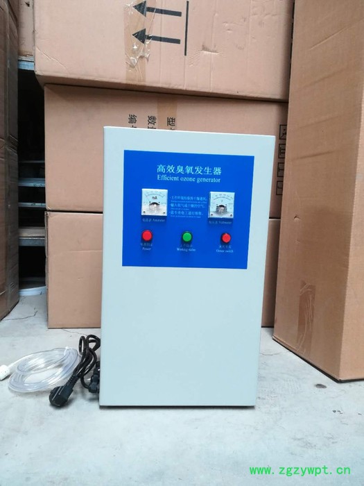 生产厂家  高效臭氧发生器 食品灭菌设备 空间消毒设备 环境消毒设备 净化空气 臭氧发生器厂家生活用水消毒灭菌图6