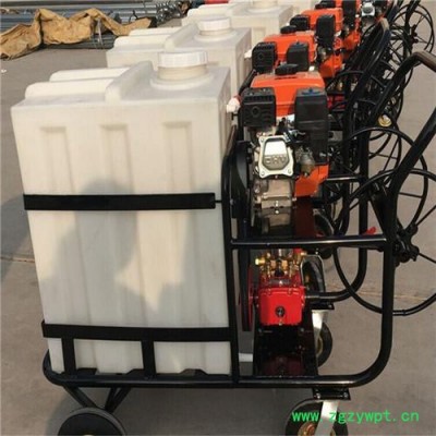 睿迪养殖用打药机 消毒机械灭菌设备 手推式汽油高压喷雾器