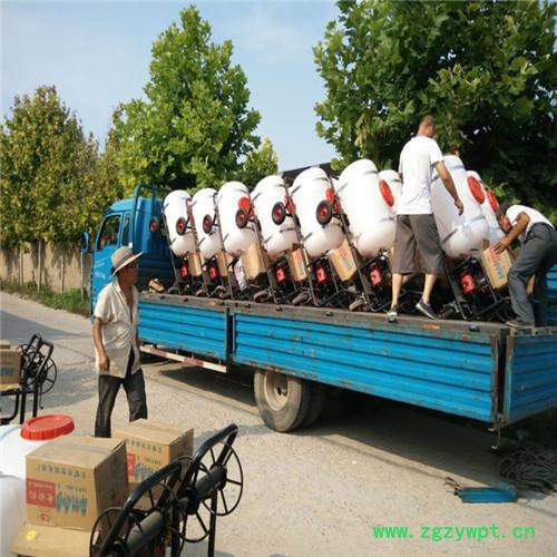 睿迪养殖用打药机 消毒机械灭菌设备 手推式汽油高压喷雾器图5
