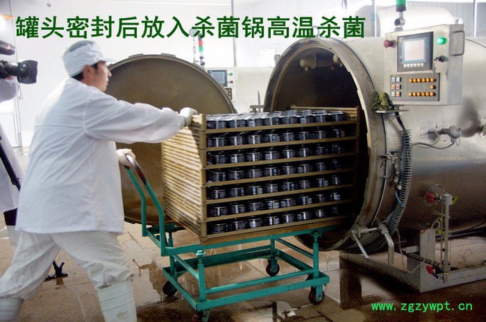 供应单开门杀菌锅  杀菌设备肉干杀菌 灭菌设备 咸鸭蛋杀菌锅 蒸煮锅强