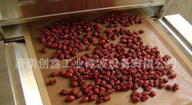 特价微波红枣干燥灭菌设备公司微波杀菌设备山东微波设备图2