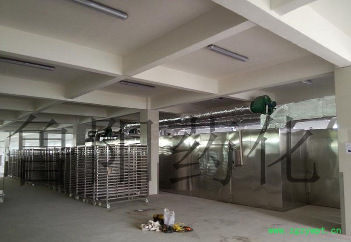 【大型烘箱】CT-C隧道式热风循环烘箱 食品专用 大型隧道烘图3