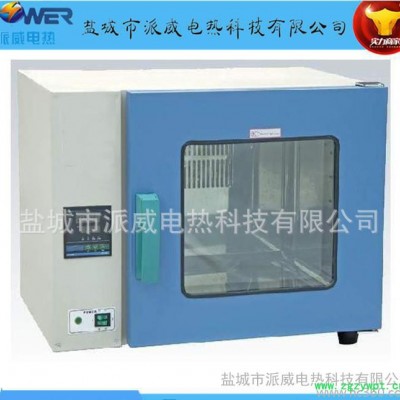 直销电加热恒温烘箱 远红外干燥箱 恒温干燥箱