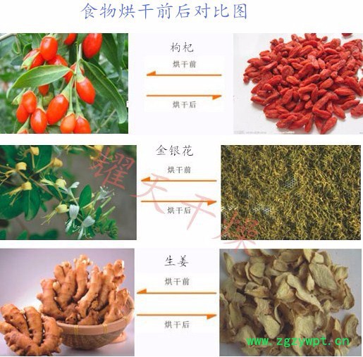 耀天CT-C-II 热风循环烘箱图2