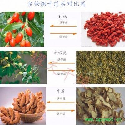 耀天CT-C-IV 热风循环烘箱