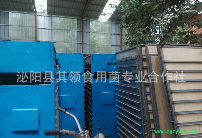 椴木香菇/花菇专用烘干机/热风循环节能烘箱