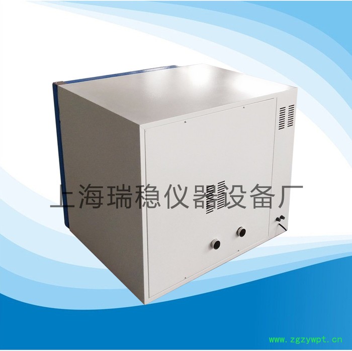 300度鼓风干燥箱DHG-9055A电热烘箱