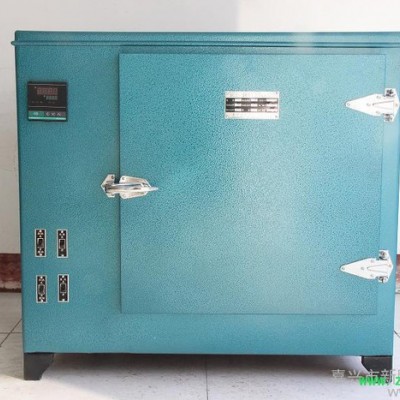 供应东成SC101-2A热风循环烘箱 工业烤箱 电炉 电热板