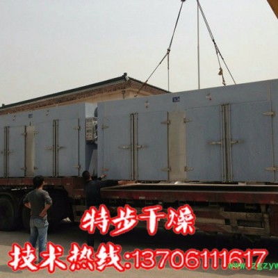 特步干燥供应CT-C型虫草烘干机  热风循环烘箱