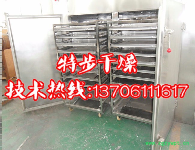 特步干燥供应CT-C型虫草烘干机  热风循环烘箱图2