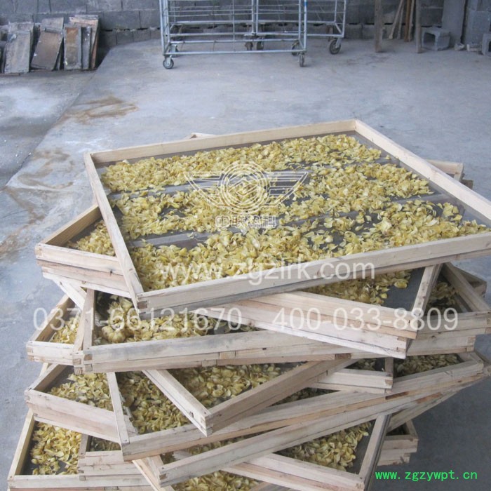 中联热科ZLCT-C 系列热风循环烘箱 金银花烘干箱 箱式烘干机图3