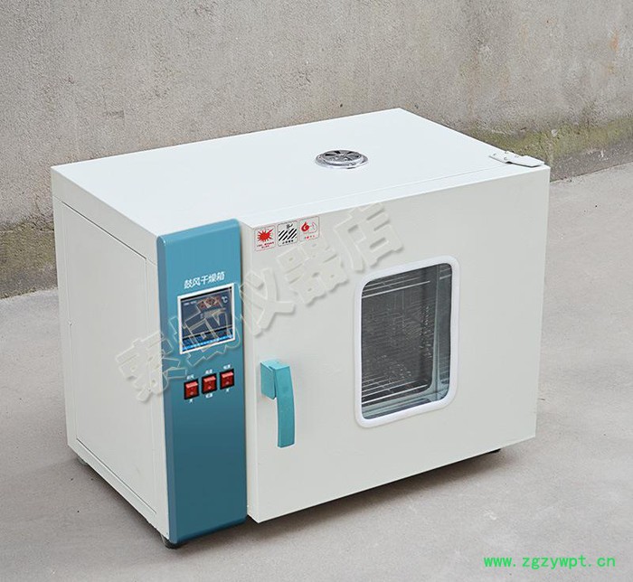 202系列电热恒温鼓风干燥箱 高温烘箱 实验室图2