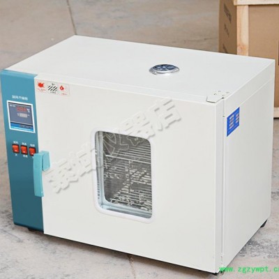 202系列电热恒温鼓风干燥箱 高温烘箱 实验室