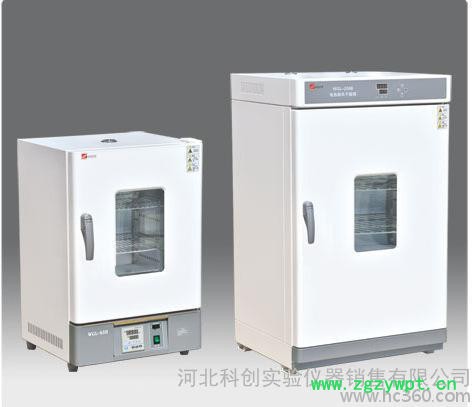 天津泰斯特WGL-230B电热鼓风干燥箱烘箱