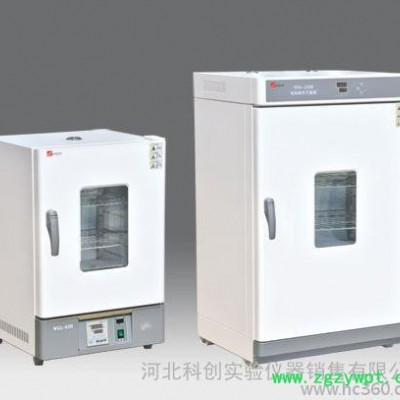 天津泰斯特WGL-230B电热鼓风干燥箱烘箱