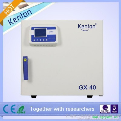 电热烘箱电热鼓风恒温干燥箱实验室设备烤箱广州烘箱GX-130