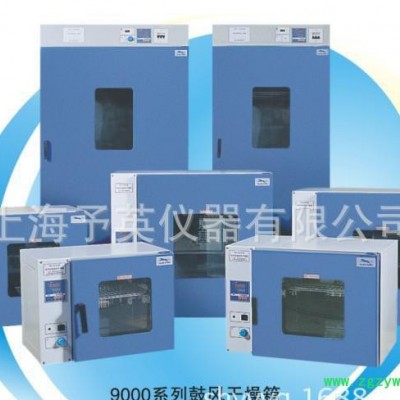 上海予英  鼓风干燥箱 烘箱 电热恒温干燥箱 DHG-914