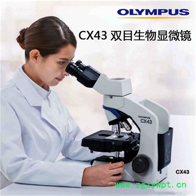 奥林巴斯cx43 **图10