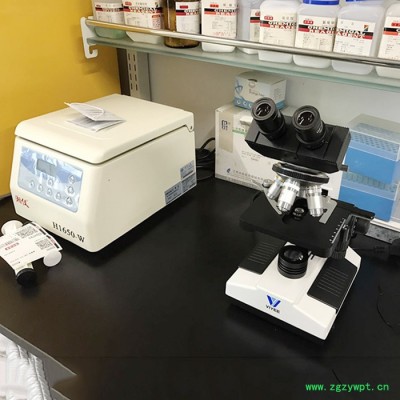 微仪光电 双目**WYS-03B   现货供应