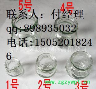 直销 玻璃瓶 罐拔火罐玻璃瓶 木塞玻璃瓶 微景观生态瓶 商家图2