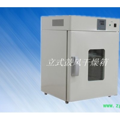 DHG-9240A 立式250度鼓风干燥箱 烘箱 恒温箱