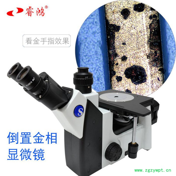 睿鸿倒置金相/**4xc看金属表面分析测量1000倍半导体材料蓝宝石陶瓷偏光看活体细菌 工业显微镜 倒置显微镜图2