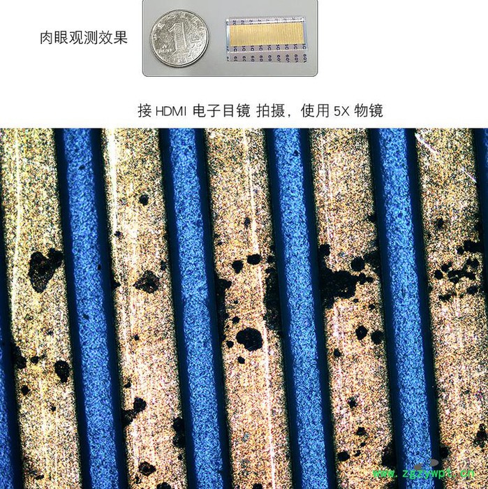 睿鸿倒置金相/**4xc看金属表面分析测量1000倍半导体材料蓝宝石陶瓷偏光看活体细菌 工业显微镜 倒置显微镜图3