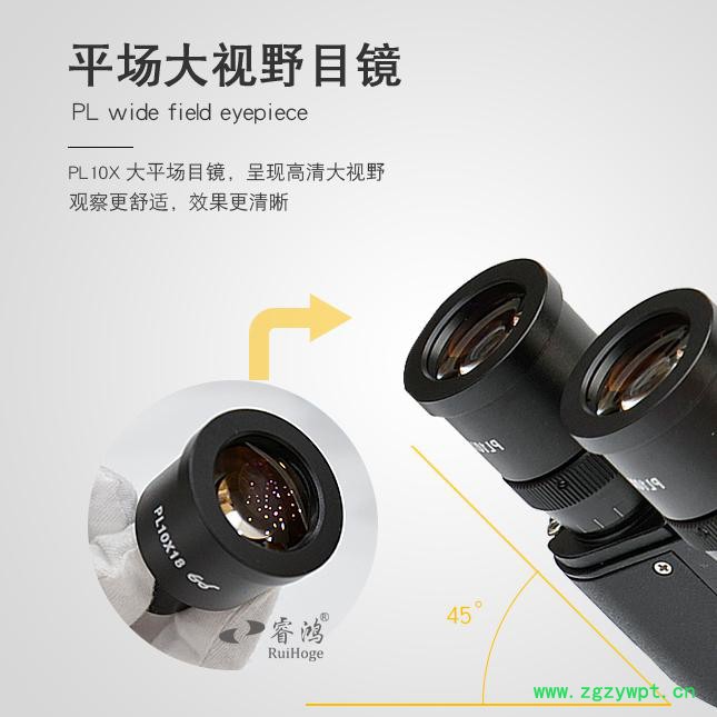 睿鸿倒置金相/**4xc看金属表面分析测量1000倍半导体材料蓝宝石陶瓷偏光看活体细菌 工业显微镜 倒置显微镜图4