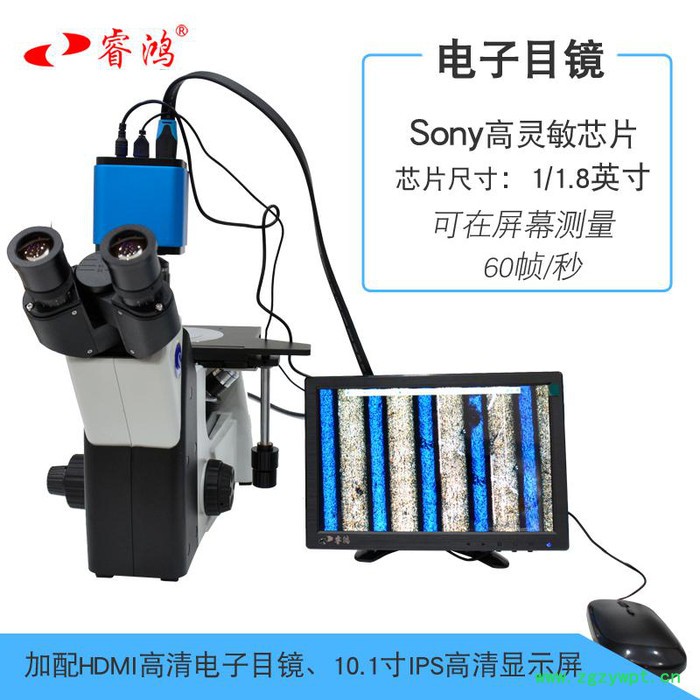睿鸿倒置金相/**4xc看金属表面分析测量1000倍半导体材料蓝宝石陶瓷偏光看活体细菌 工业显微镜 倒置显微镜图6