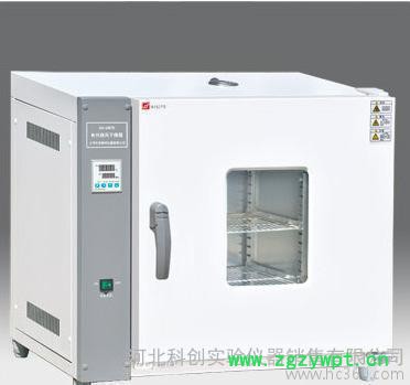 天津泰斯特101-2A电热鼓风干燥箱实验室烘箱
